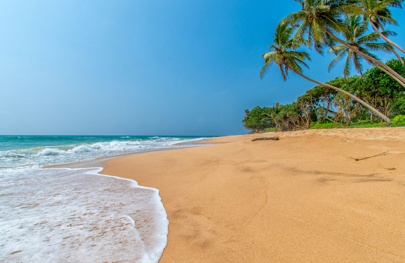 Bentota
