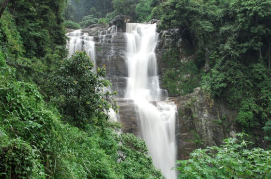 Authentic Sri Lanka 5Nights/6Days